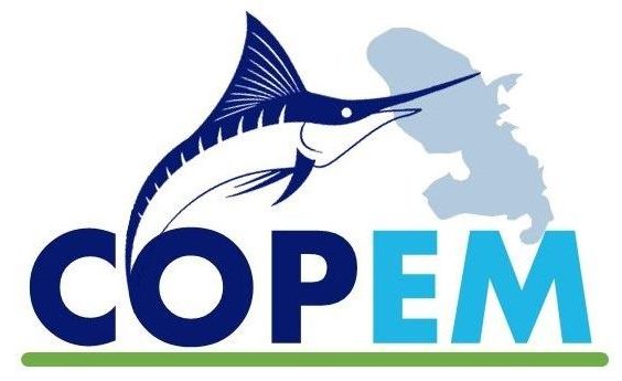 Logo COPEM